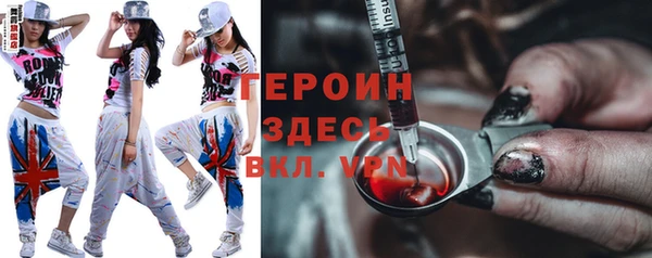 гашик Няндома
