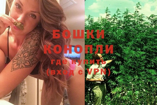 гашик Няндома