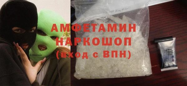 гашик Няндома