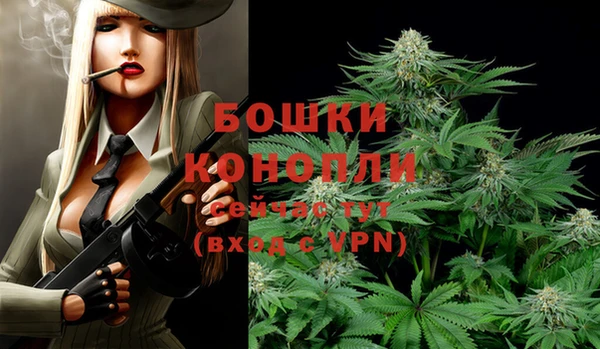 гашик Няндома