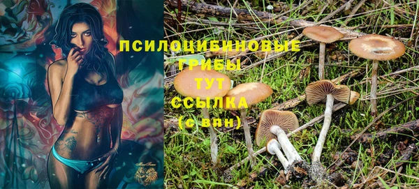 эйфоретик Весьегонск
