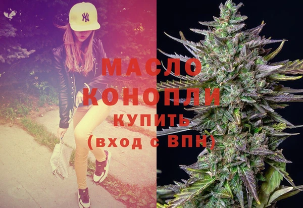 гашик Няндома