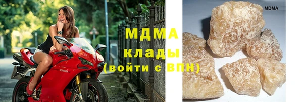 гашик Няндома