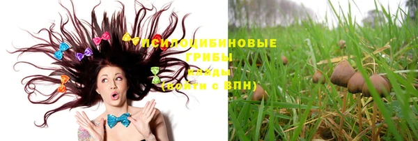 спайс Нягань