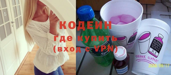 гашик Няндома