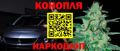 молекула духа Гатчина