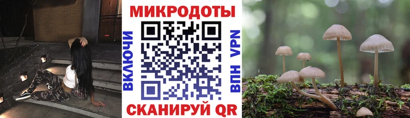 Галлюциногенные грибы мухоморы  KRAKEN tor  Алексеевка  продажа наркотиков 