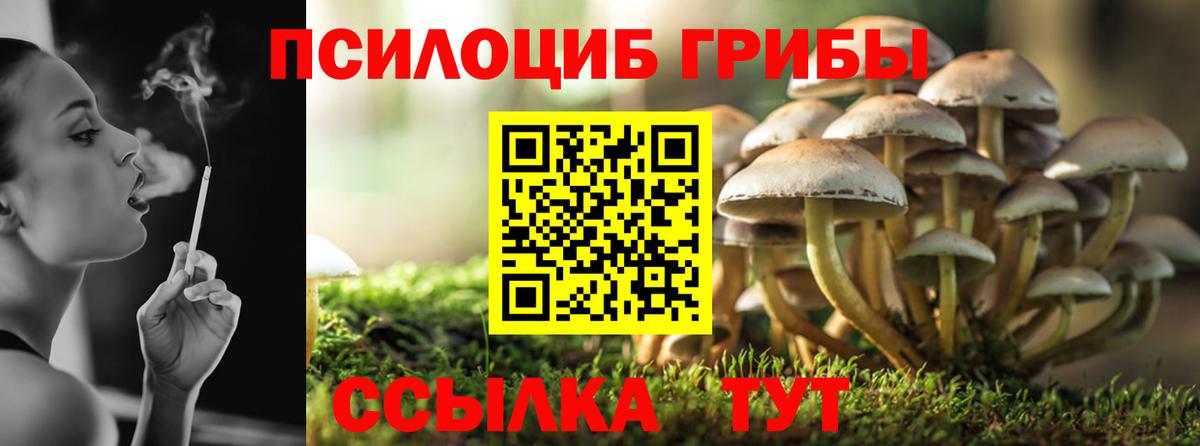 Алексеевка  Псилоцибиновые грибы MAGIC MUSHROOMS  Вход с VPN 